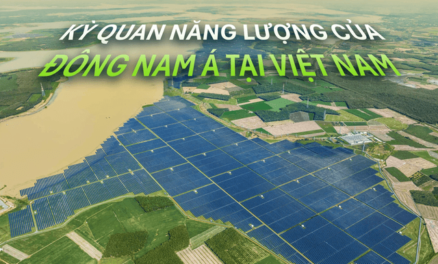 Vietnam's 'pin forest': Southeast Asia's mega renewable energy project delivering 1.5 billion kWh of clean electricity