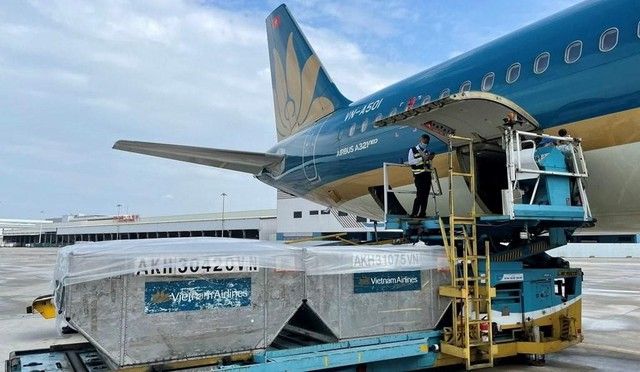 NCT considers paying a 100% cash dividend and exploring participation in the Gia Bình airport project