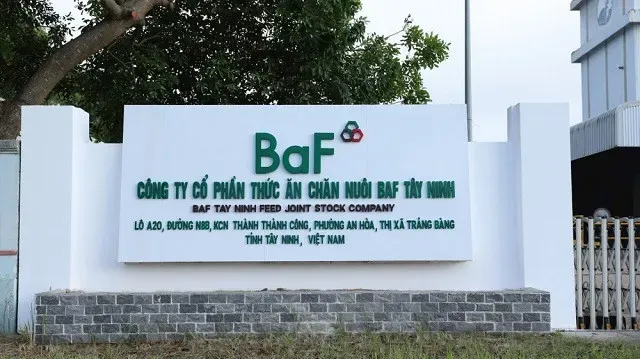 baf.webp