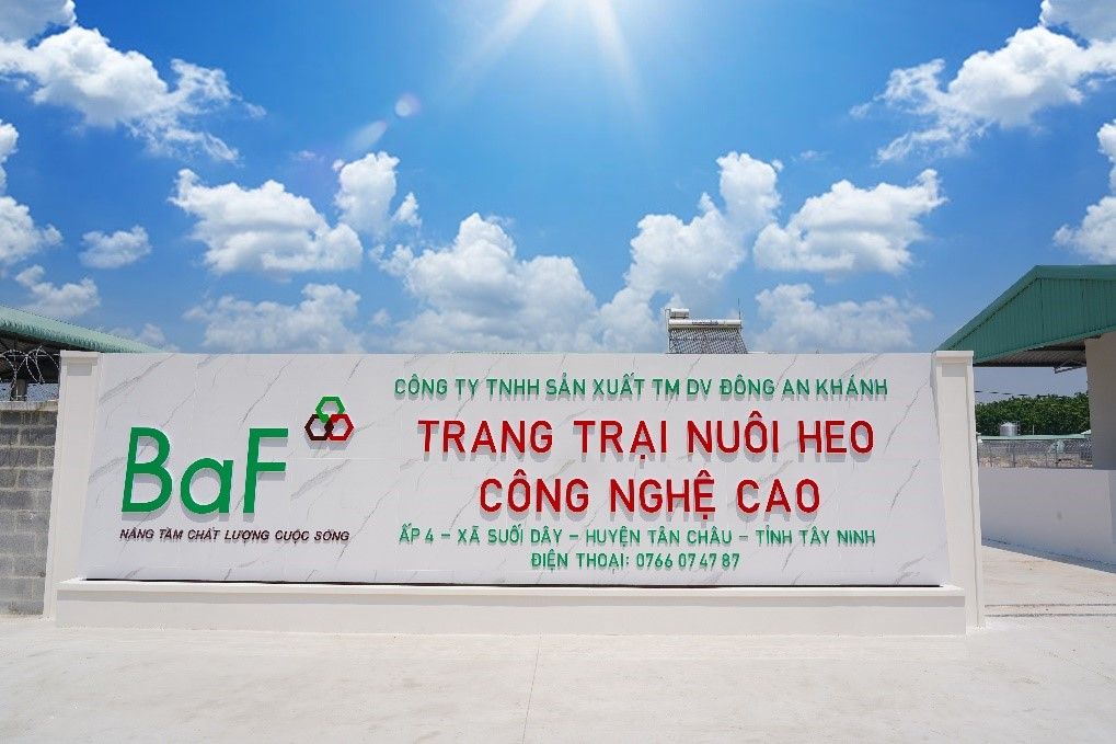 BAF chuẩn bị phát hành 8 triệu cổ phiếu ESOP