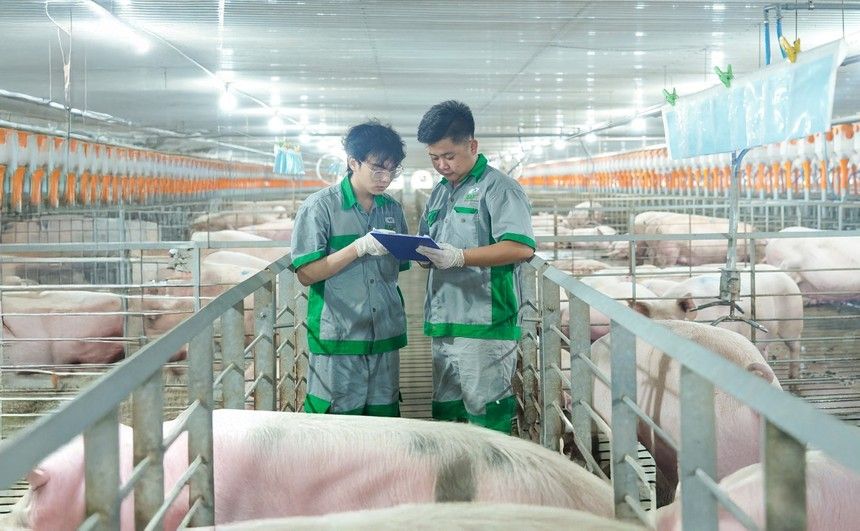 BAF Việt Nam (BAF) sắp chào bán cổ phiếu huy động 608,04 tỷ đồng
