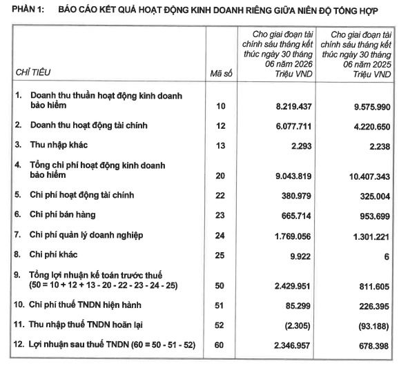 bao-cao-ket-qua-hoat-dong-kinh-doanh-rieng-giua-nien-do-tong-hop.jpg