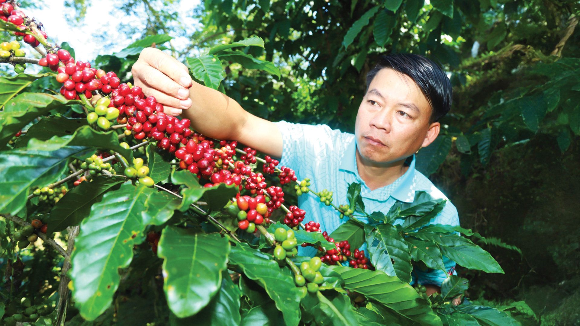 baolamdong.vn-file-e7837c02845ff.jpg