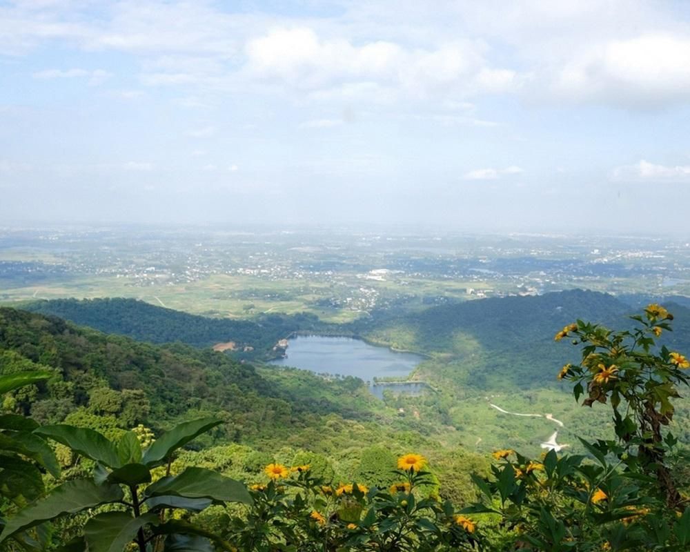 bavi-vuon-quoc-gia-1790564966.jpg