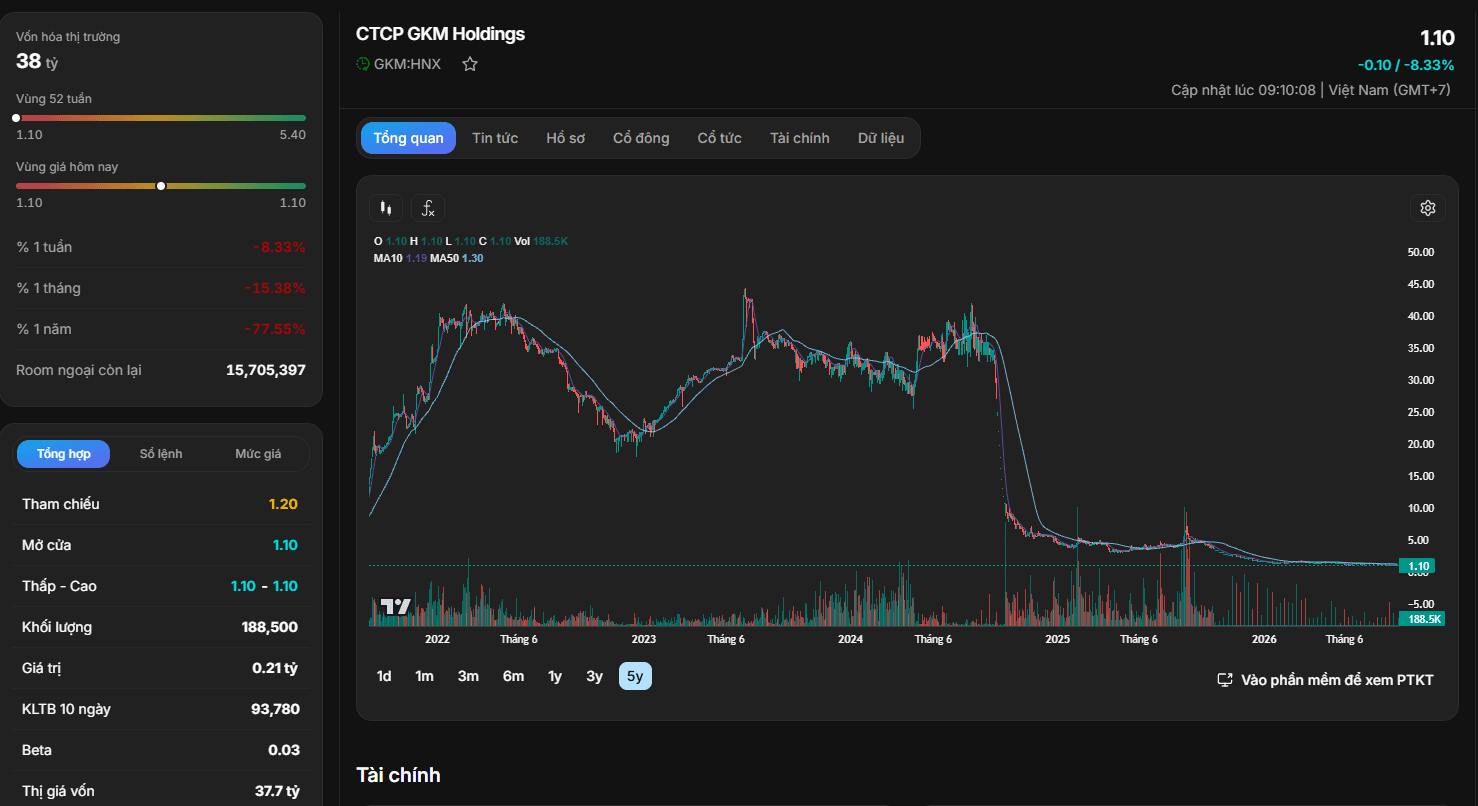 Phân tích cổ phiếu GKM: CTCP GKM Holdings
