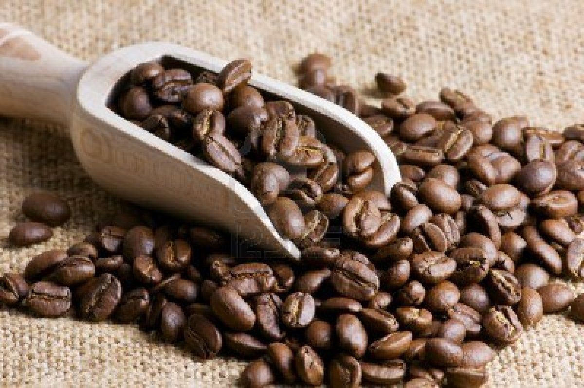 Giá cà phê ngày hôm nay 1/10: Bật tăng 200 đồng/kg, Arabica tăng hơn 3%, Robusta vượt 3.400 USD