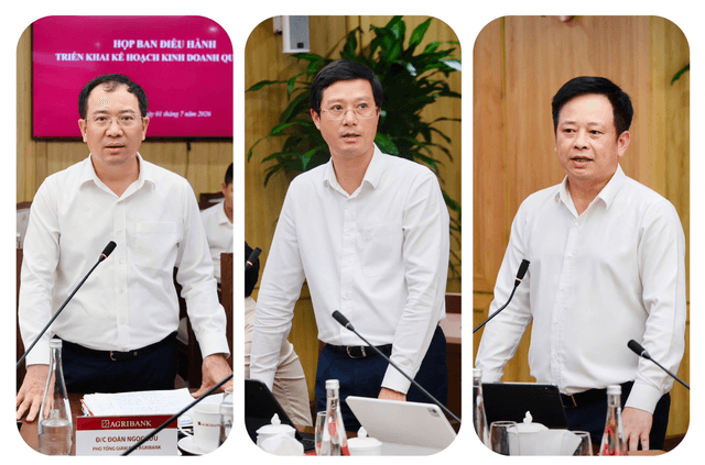 cac-thanh-vien-ban-dieu-hanh.png