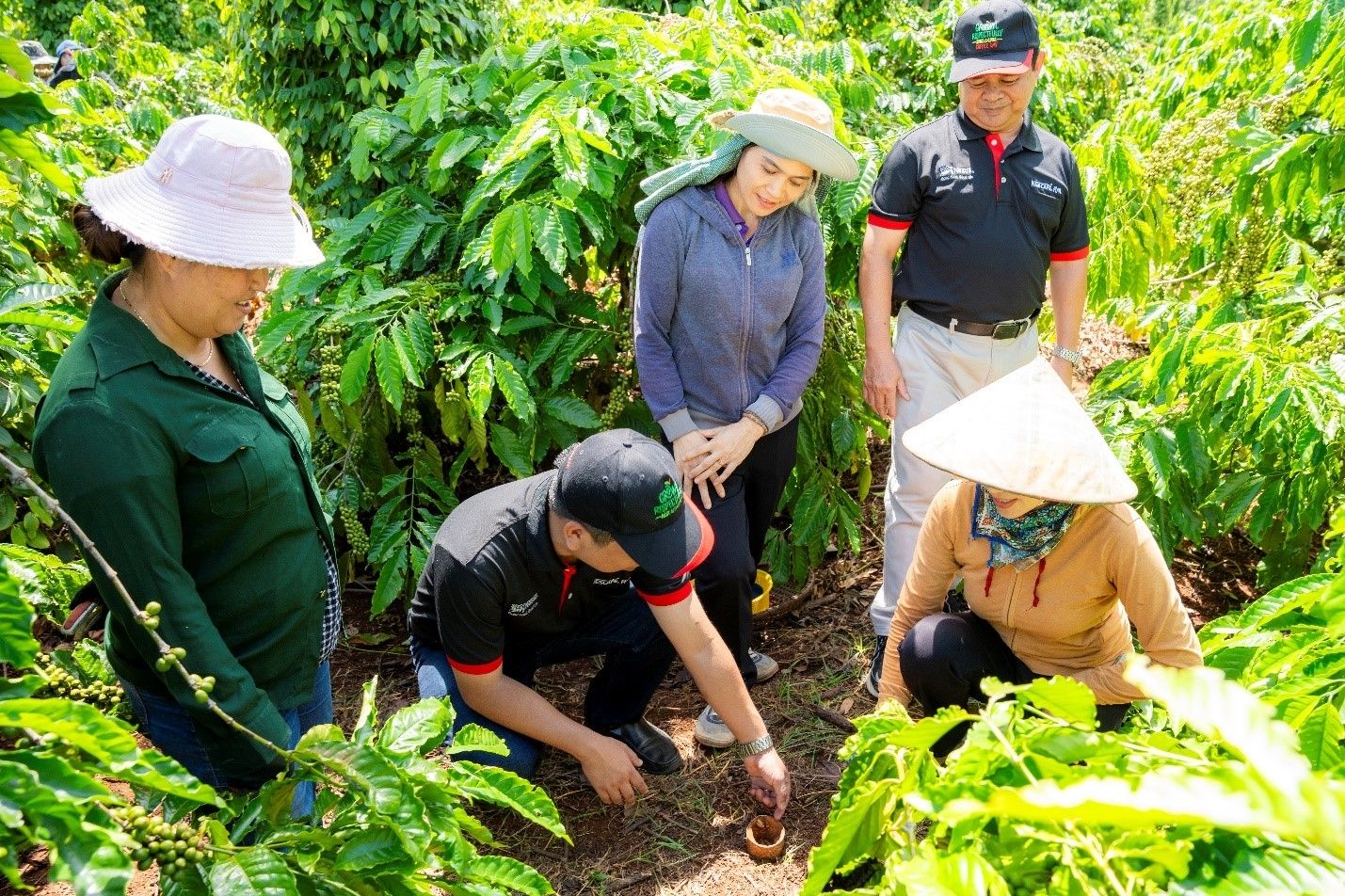 can-bo-ky-thuat-nescafe-plan-huong-dan-nong-dan-thuc-hanh-cai-tao-dat-tai-vuon-ca-phe-mot-trong-ba-nhom-thuc-hanh-cot-loi-cua-mo-hinh-nong-nghiep-tai-sinh.jpg