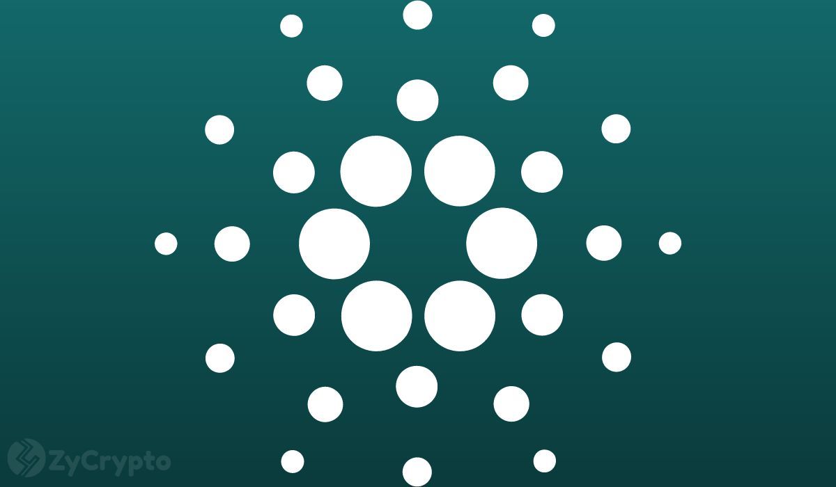 Cardano cá voi tích lũy 10 triệu ADA trong làn sóng tích lũy nhanh