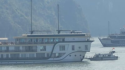 Chủ tàu du lịch ở Cát Bà bị phạt 70 triệu đồng vì sử dụng trái phép thiết bị Starlink vệ tinh