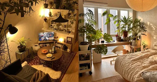 Chi 367 triệu, mất 68 ngày biến căn nhà ống thành vườn cây: Chàng trai độc thân nói ở nhà vui hơn đi chơi