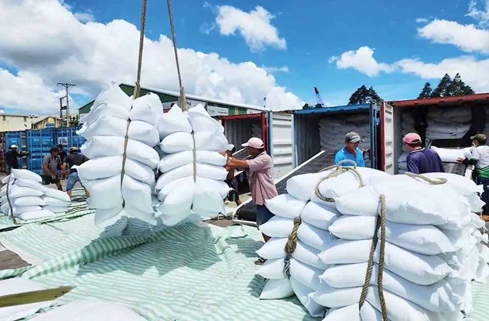 Senegal: Thị trường Tây Phi tiềm năng cho xuất khẩu gạo Việt Nam