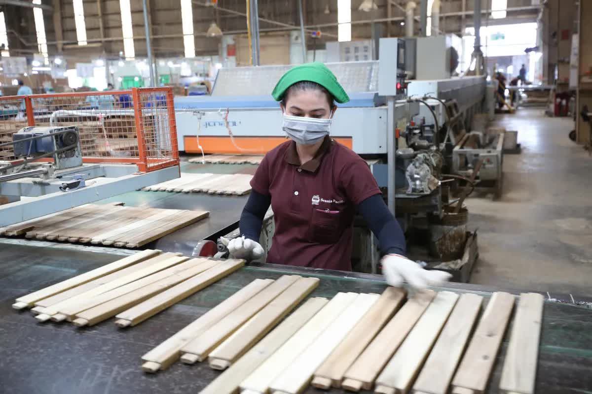 Ho Chi Minh City: 22% of export-processing enterprises adjust production to reduce the impact of fuel costs