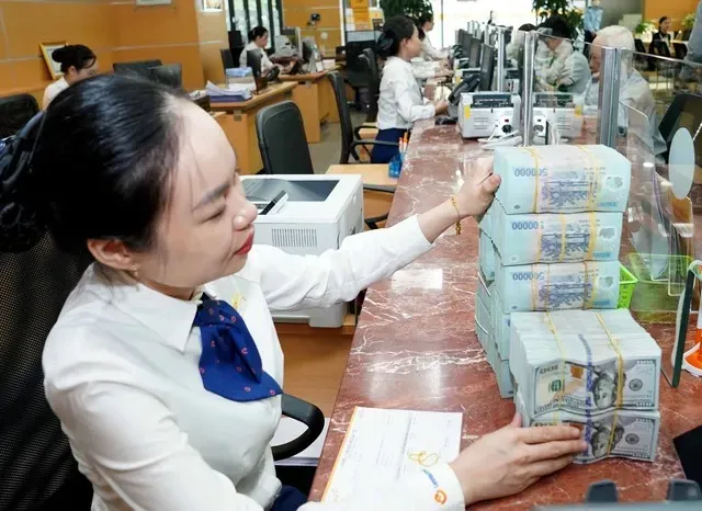 Tỷ giá USD hôm nay 4/7: USD tự do bật tăng 26.650 đồng/USD