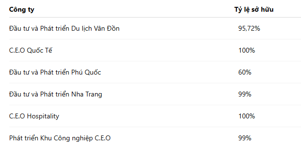 cong-ty-con-ceo.PNG