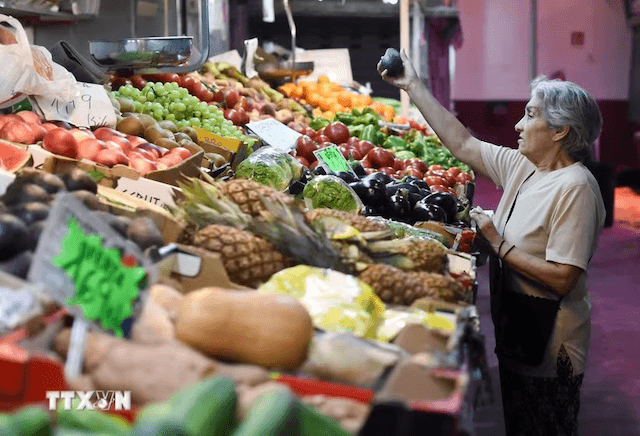 IMF lowers Eurozone growth forecast, warns inflation could accelerate