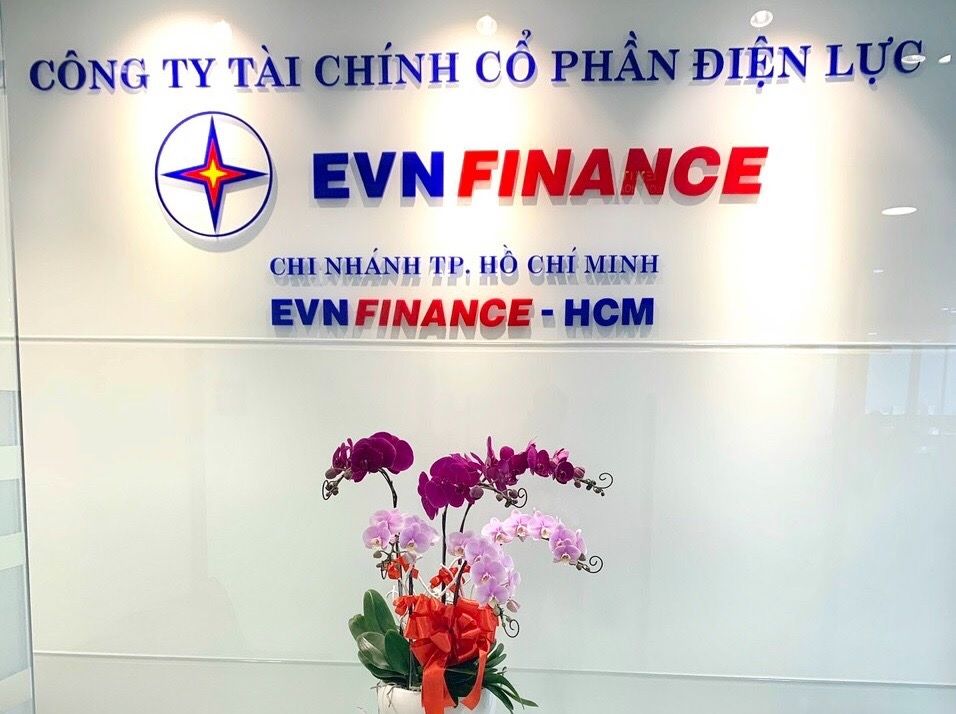 CEO EVF đăng ký mua 4 triệu cổ phiếu, dự kiến chi khoảng 46 tỷ đồng