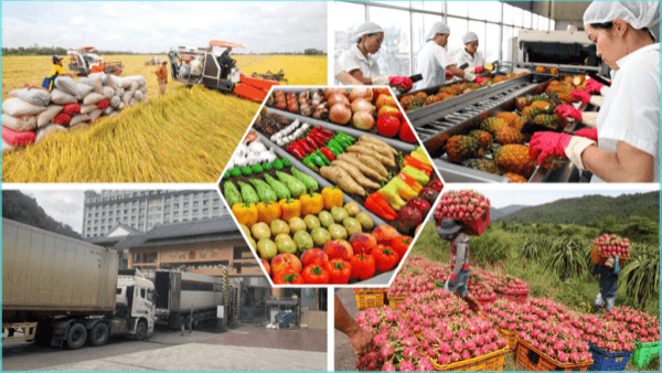 Xuất khẩu nông lâm thủy sản của Việt Nam vượt 23 tỷ USD trong 4 tháng, duy trì đà tăng trưởng.