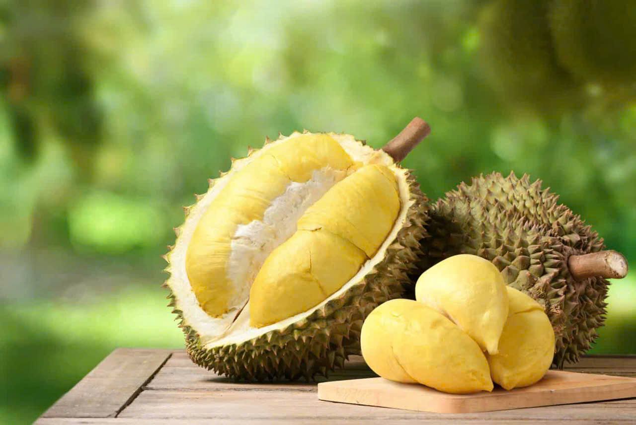 Giá sầu riêng hôm nay 2/8: Khu vực Tây Nguyên và miền Trung tăng nhẹ, thị trường giữ đà tích cực