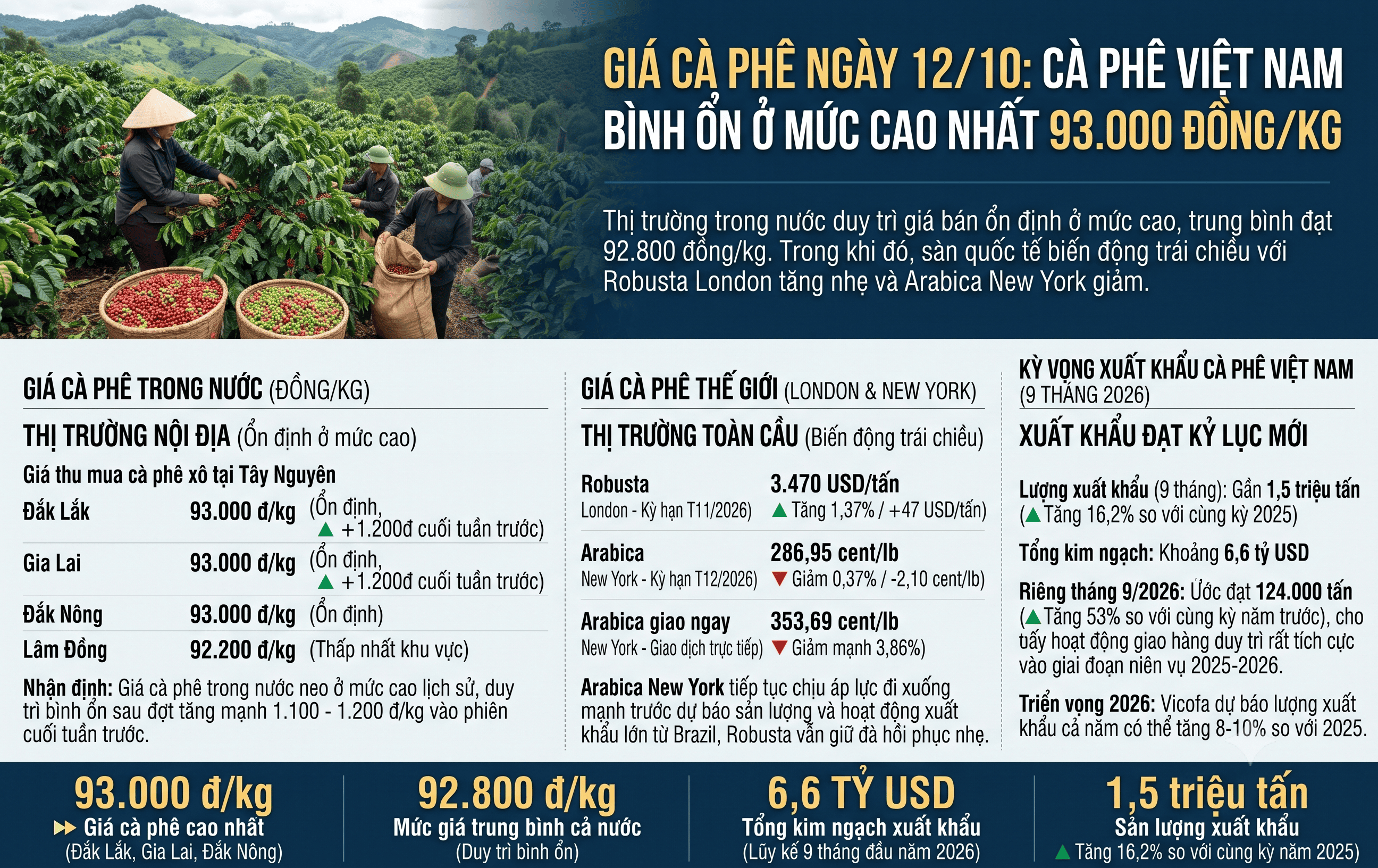 Giá cà phê ngày hôm nay 12/10: Việt Nam bình ổn ở mức cao 93.000 đồng/kg, cà phê thế giới tiếp tục biến động.