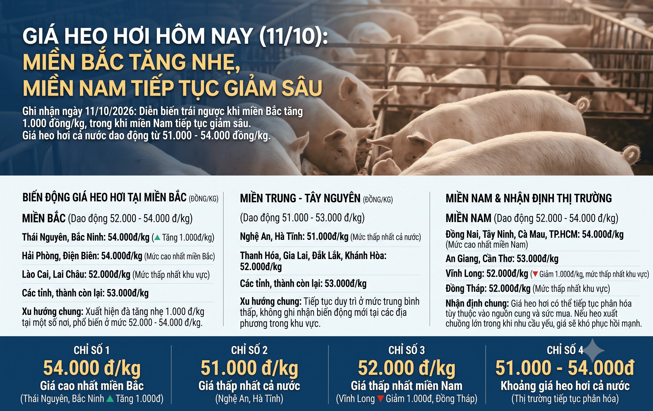 Giá heo hơi hôm nay 11/10: miền Bắc tăng nhẹ 1.000 đồng, giá heo hơi cả nước tiếp tục giảm sâu.