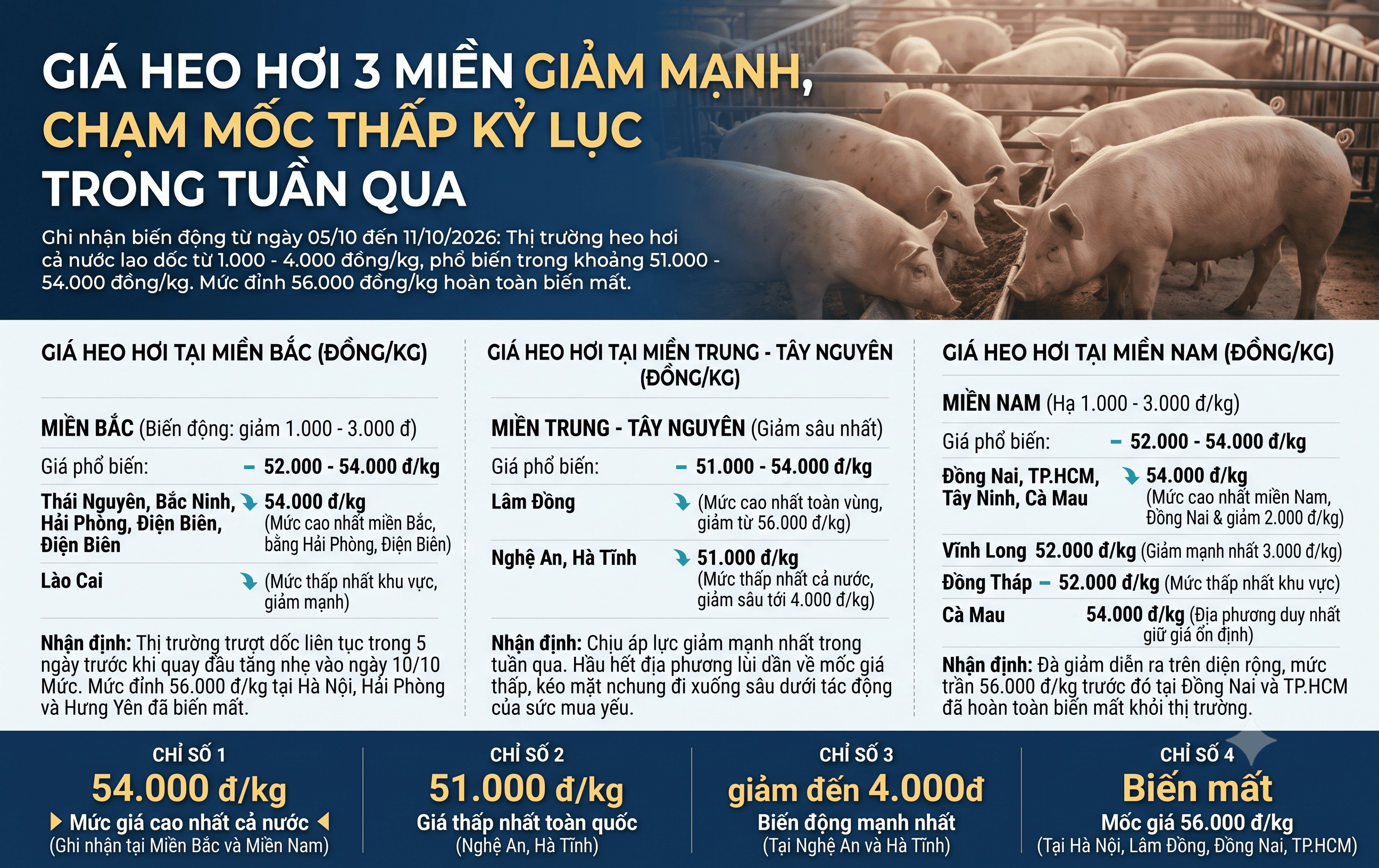 Giá heo hơi hôm nay 12/10: Heo hơi tiếp tục nằm vùng giá thấp, trung bình 52.000 đồng/kg.