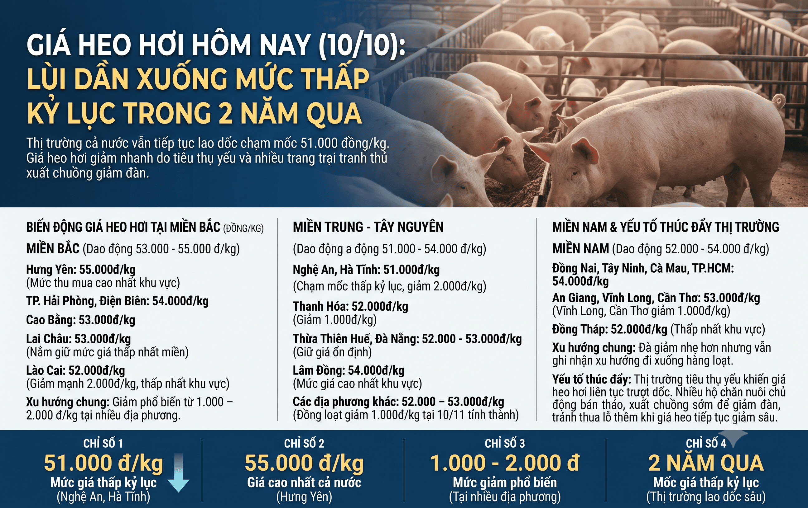 giá heo hôm nay 10.10.png