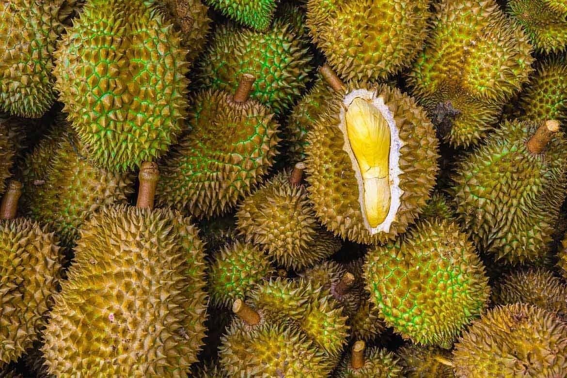Giá sầu riêng hôm nay 21/7: Thị trường ổn định