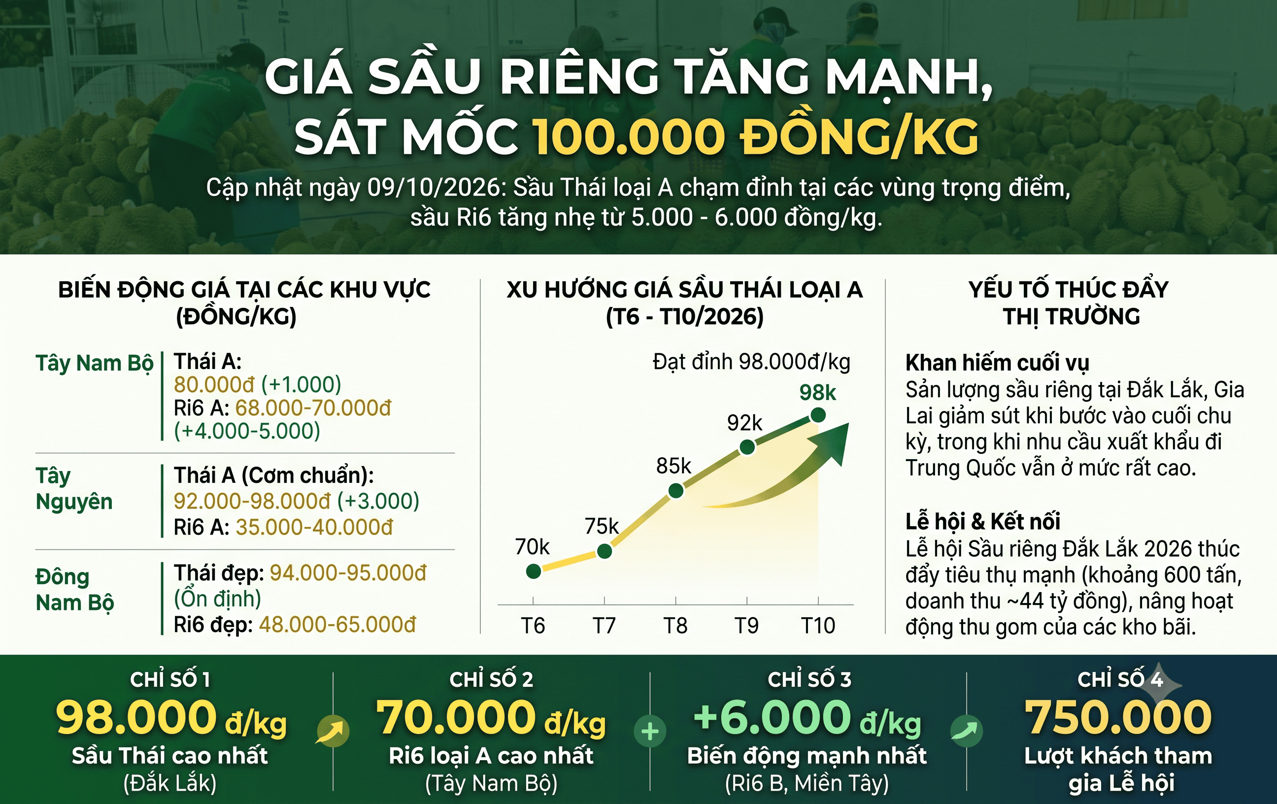 Giá sầu riêng hôm nay 9/10: Tăng mạnh, sầu Thái loại A sát mốc 100.000đ/kg