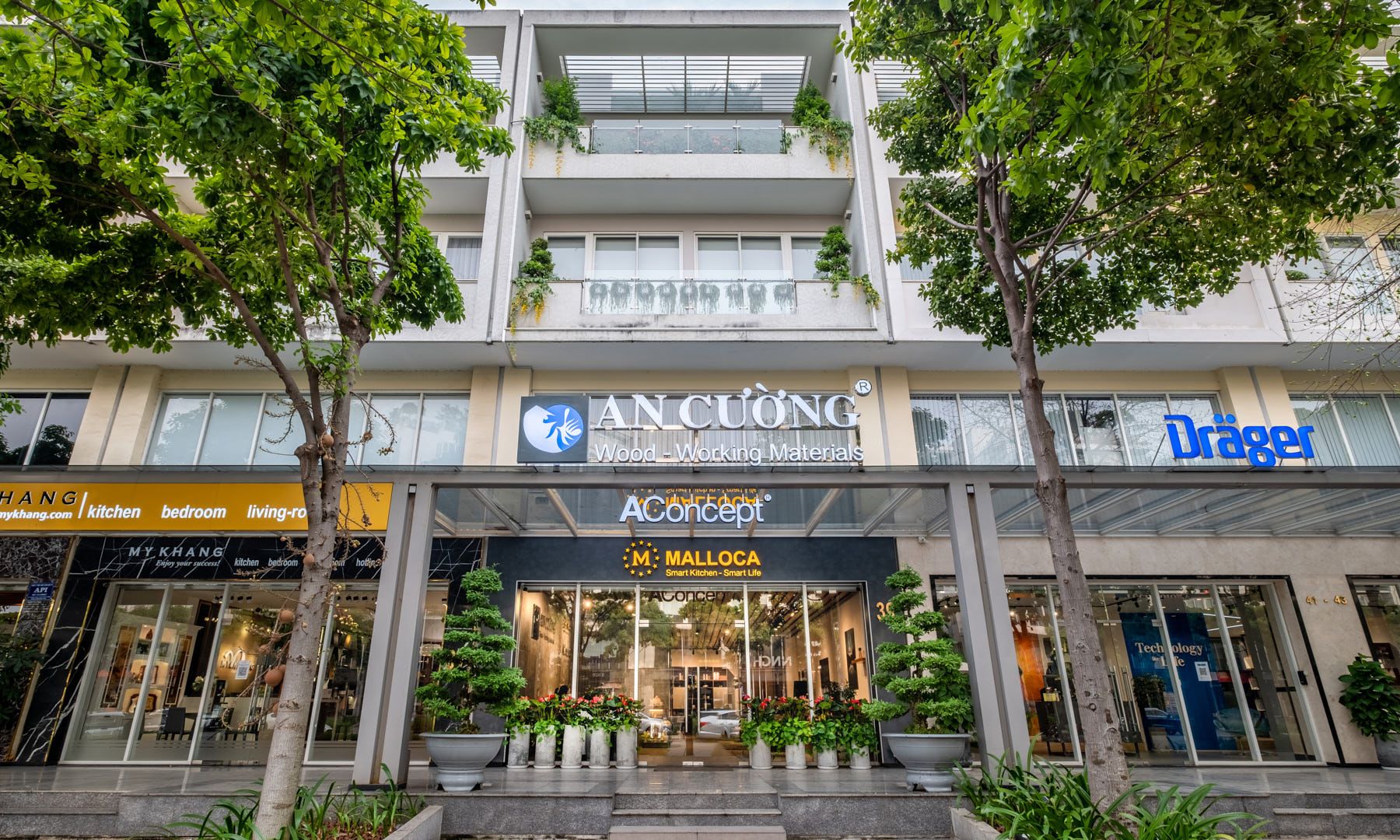 gỗ an cường.jpg