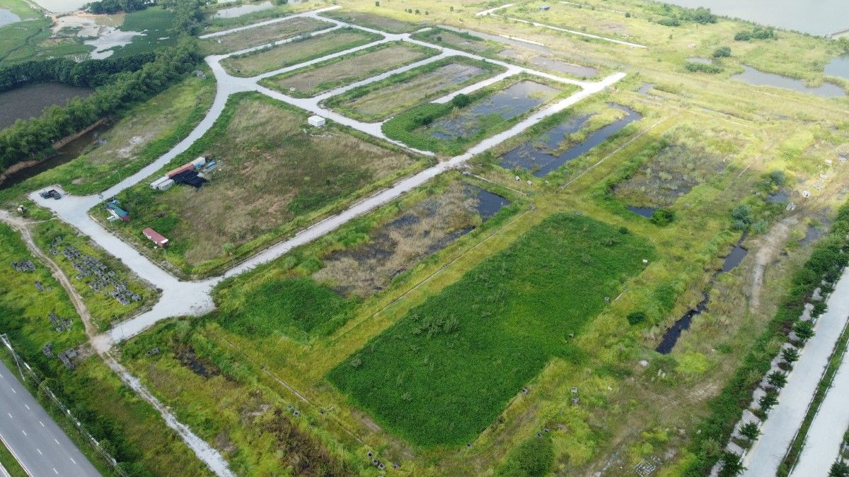 Hà Nội làm sạch 863.383 thửa đất, tăng hơn 73.500 thửa sau gần hai tuần