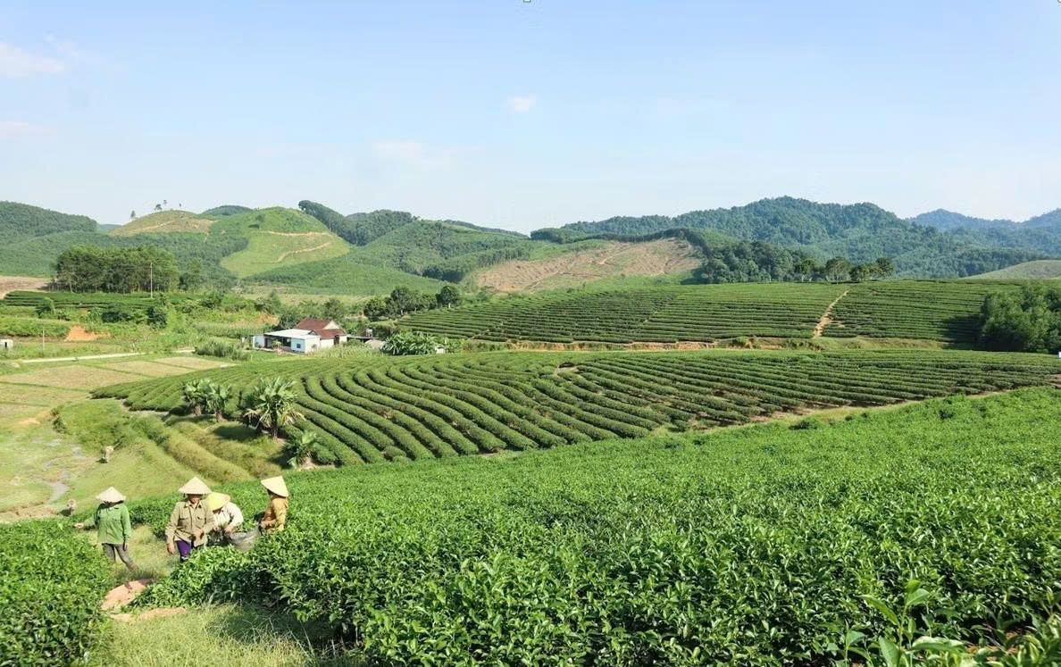 hon-155-000-doanh-nghiep-rut-khoi-thi-truong-tu-be-suc-ep.jpg