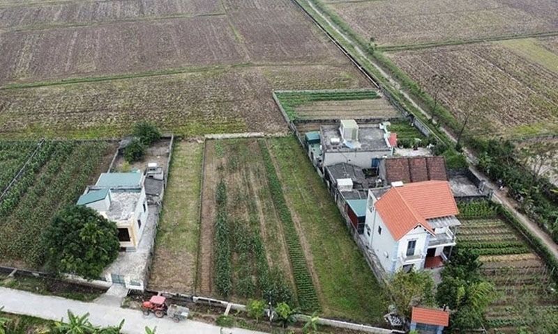 Xây công trình trên đất lúa: Quy định mới giới hạn 1 tầng, không hầm