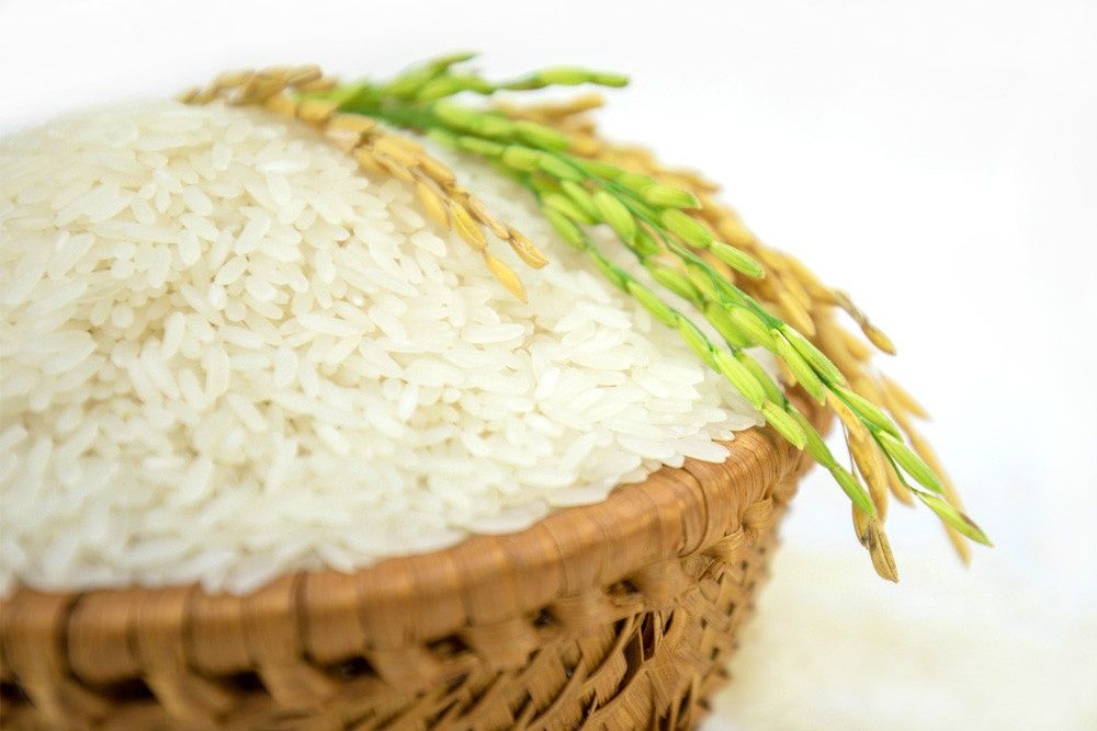 Giá lúa gạo ngày hôm nay 17/10/2026: Một số loại lúa tươi tăng 100 đồng/kg