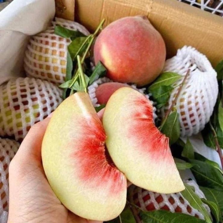 Đào nhập khẩu tăng mạnh tại Việt Nam, kim ngạch vượt 10 triệu USD