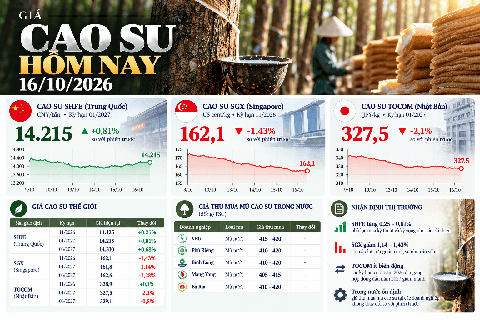 Giá Cao Su Hôm Nay_ Toàn Cảnh Thị Trường.png