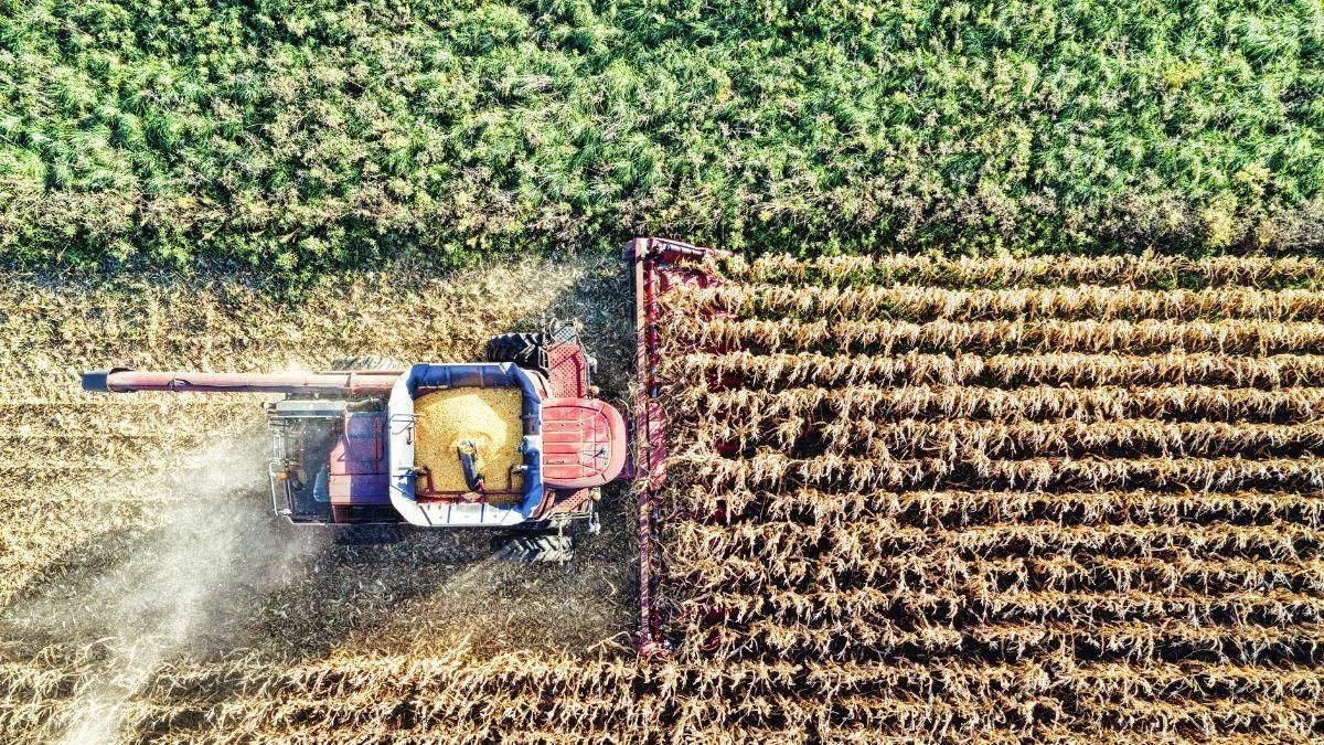 World Bank cảnh báo rủi ro khủng hoảng lương thực toàn cầu gia tăng