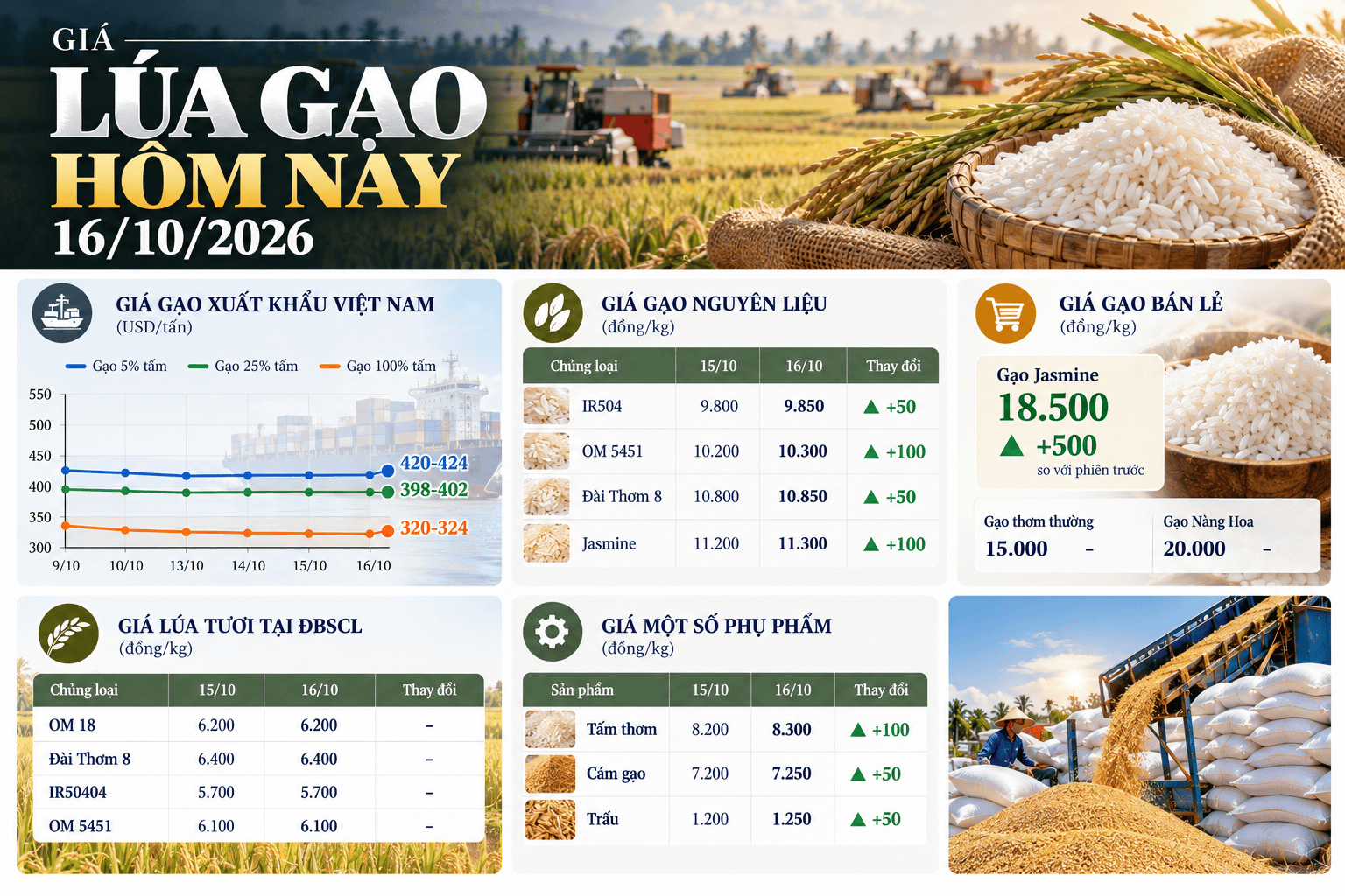 Rice Market Prices Today Infographic.png