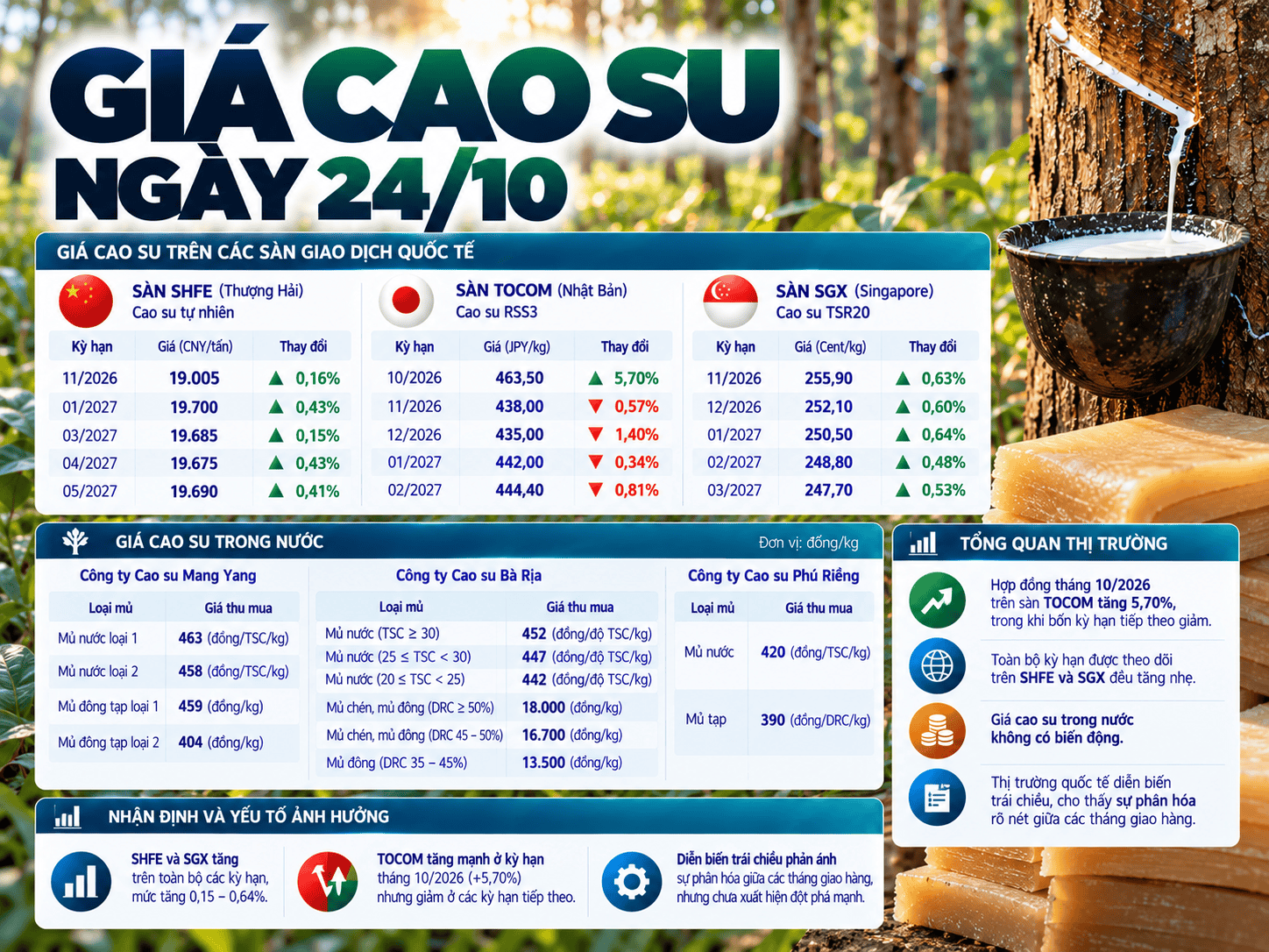 Rubber Price Market Infographic.png