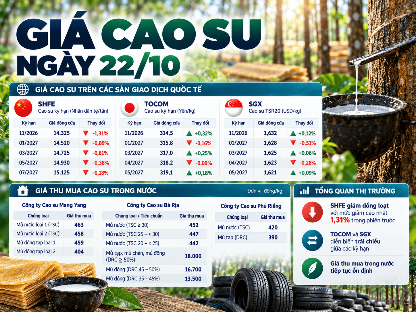 Rubber Price Market Report Infographic.png