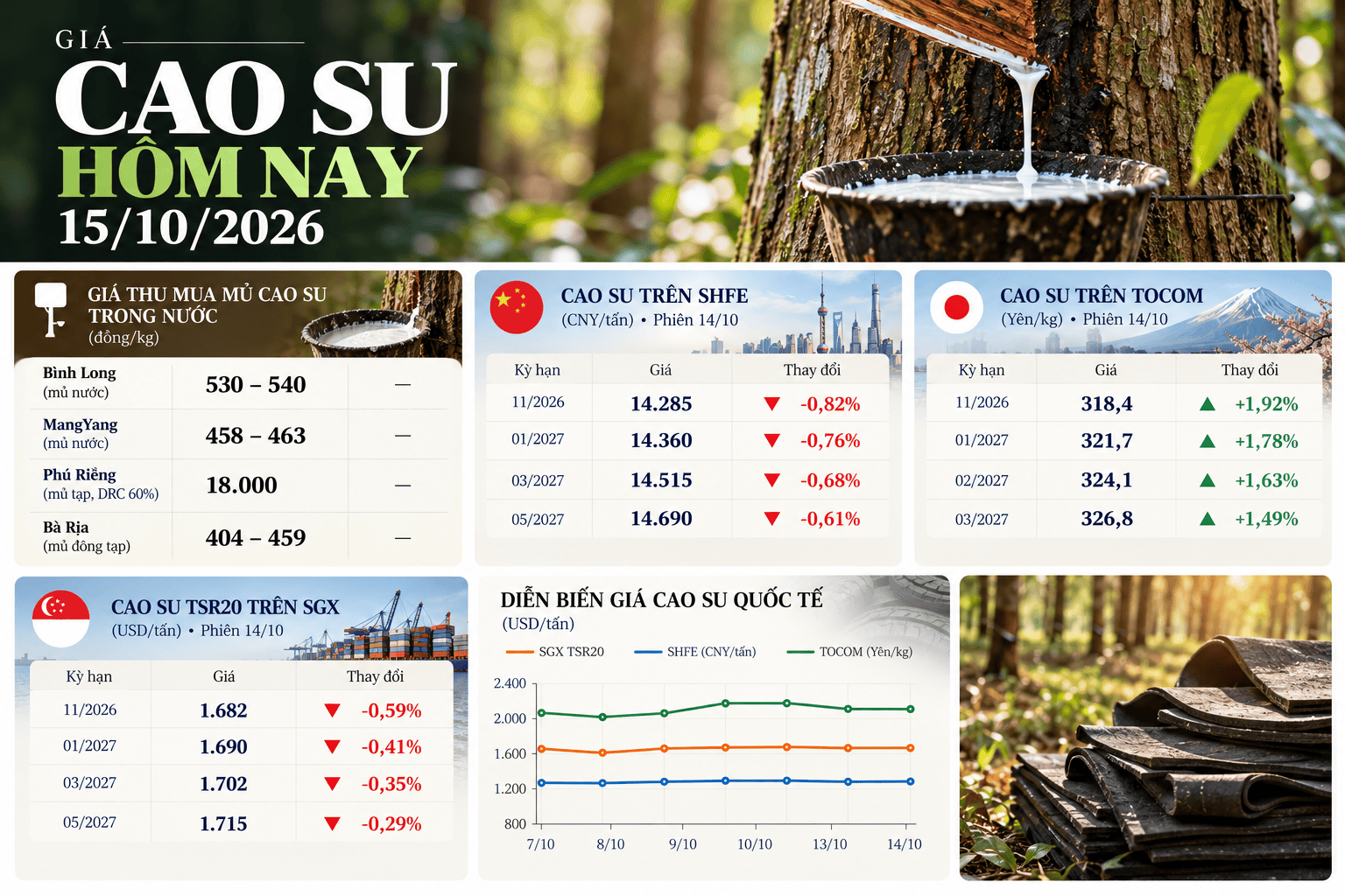 Rubber Prices Today Infographic Dashboard.png