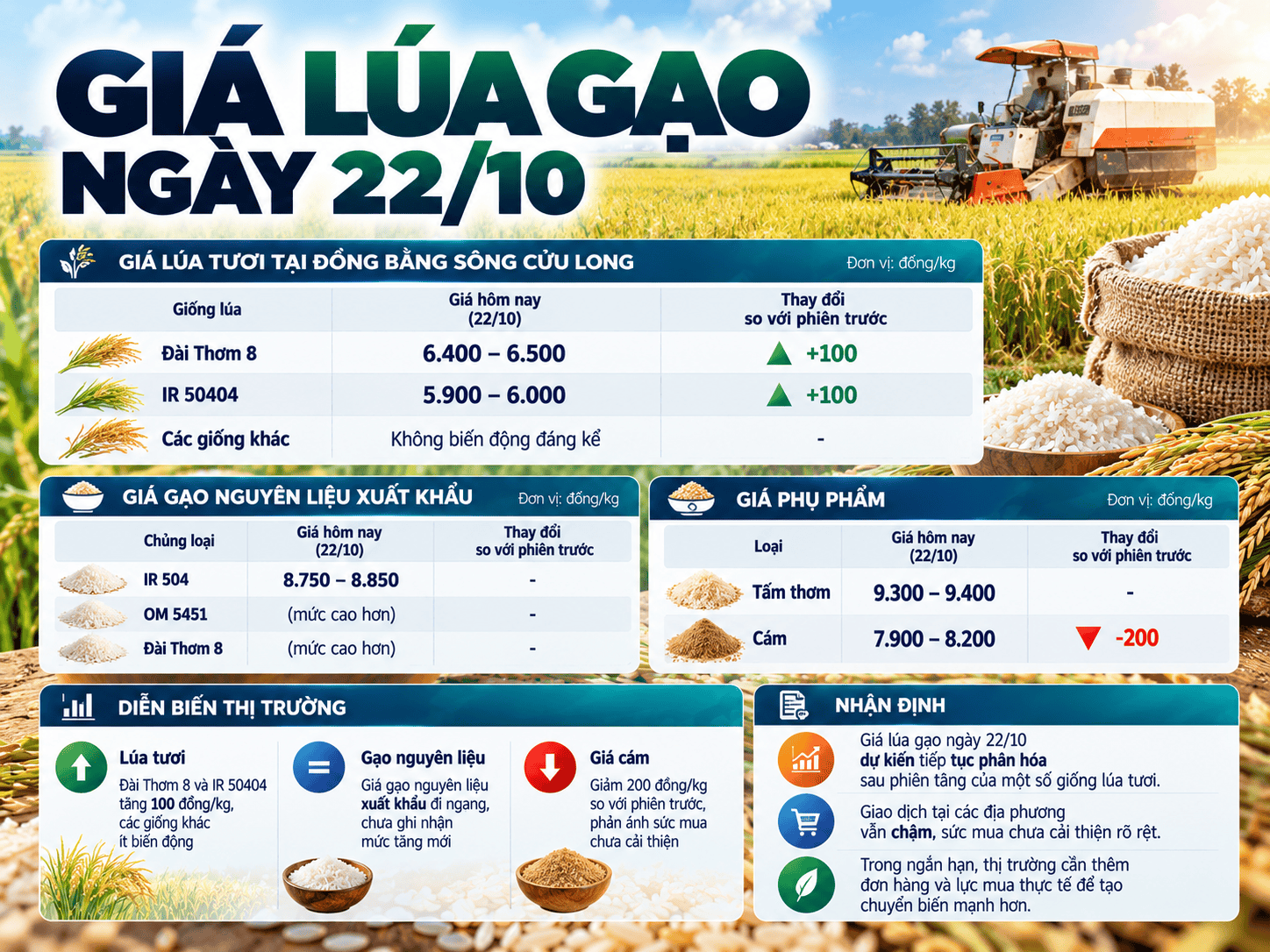 Vietnamese Rice Market Price Infographic (1).png