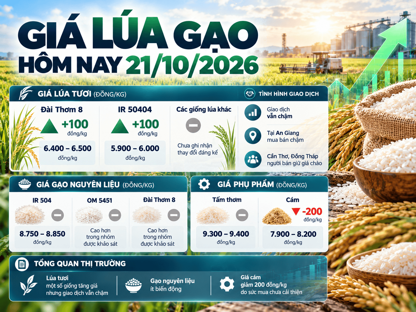 Vietnamese Rice Market Price Infographic.png