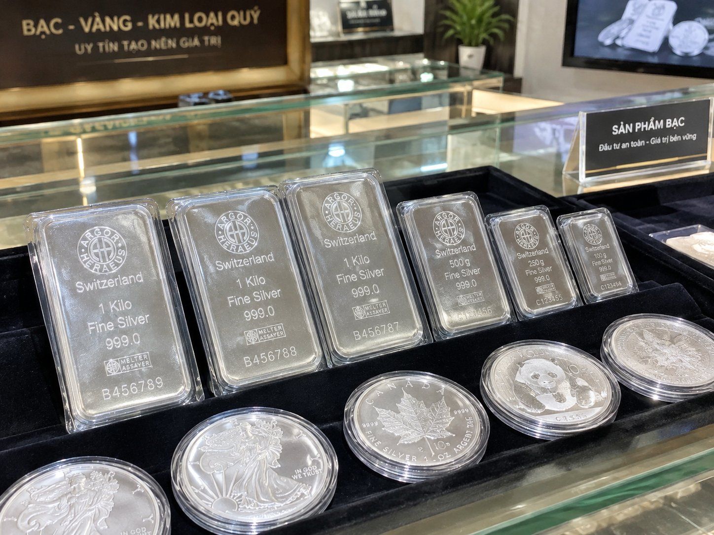 Giá bạc ngày hôm nay 15/10/2026: Bạc thế giới giảm 1,09 USD/ounce, giá trong nước chịu áp lực điều chỉnh