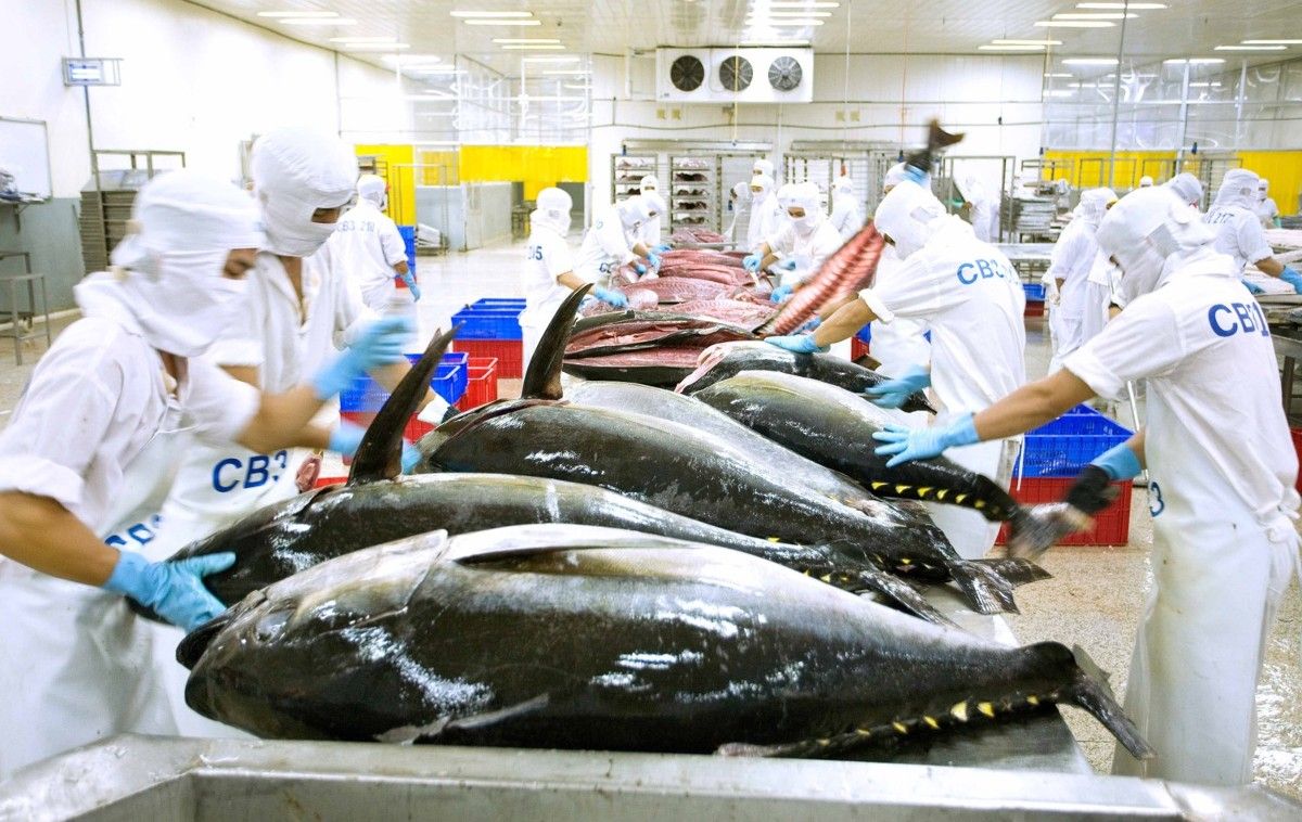 Xuất khẩu cá ngừ Việt Nam sang Mỹ thu về hơn 280 triệu USD