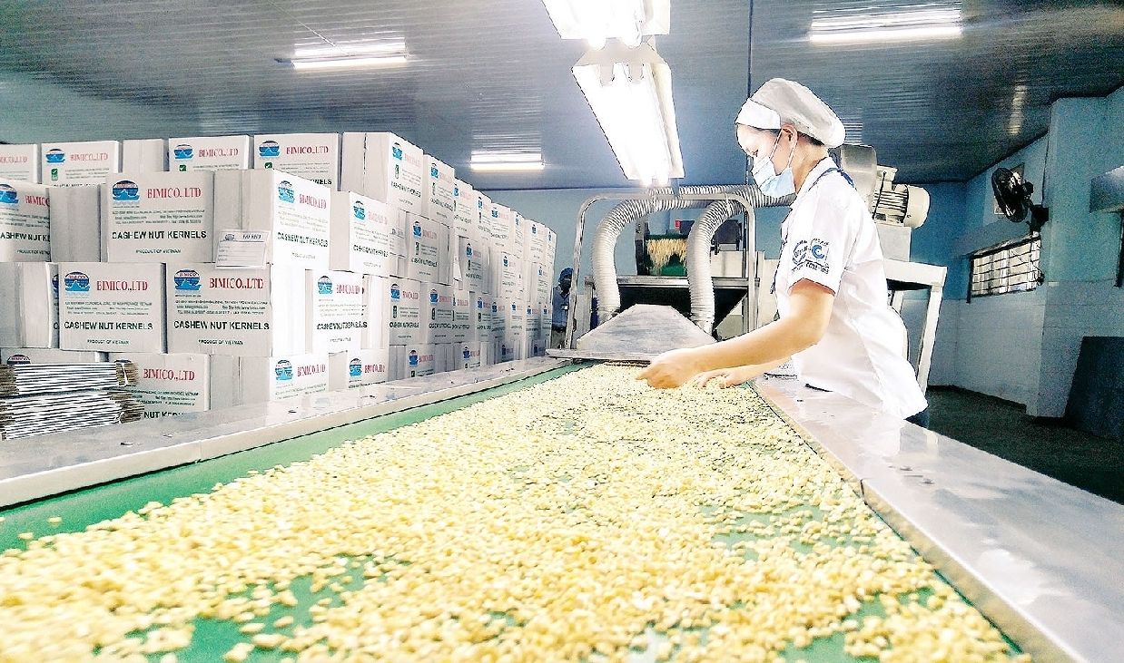 Xuất khẩu điều tăng trưởng, Việt Nam hướng tới nâng cao chuỗi giá trị