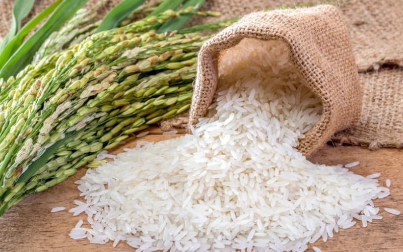 Giá lúa gạo ngày hôm nay 16/10/2026: Gạo nguyên liệu tăng, Jasmine bán lẻ thêm 500 đồng/kg