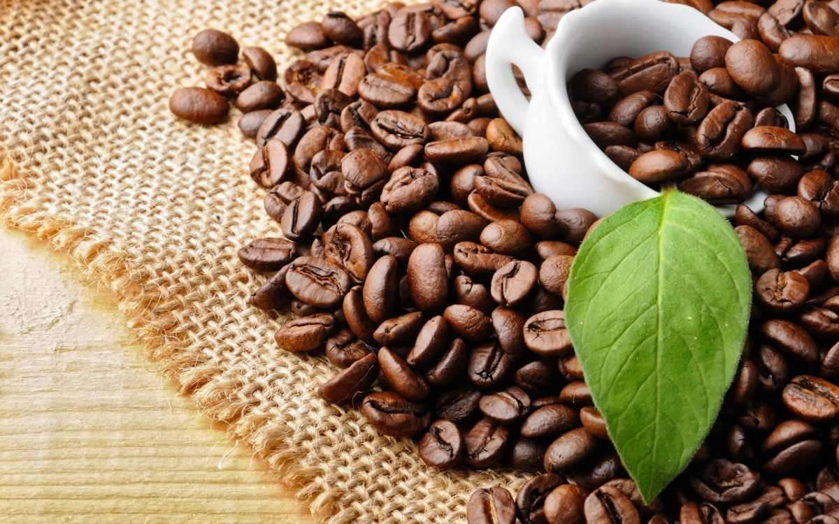 Giá cà phê ngày hôm nay 17/10/2026: Cà phê trong nước trượt giá về 91.100 đồng/kg, thị trường thế giới đảo chiều tăng vọt