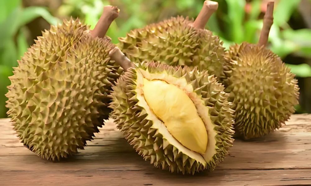 Giá sầu riêng ngày hôm nay 21/10/2026: Sầu Thái dẫn đầu giá thu mua các vùng