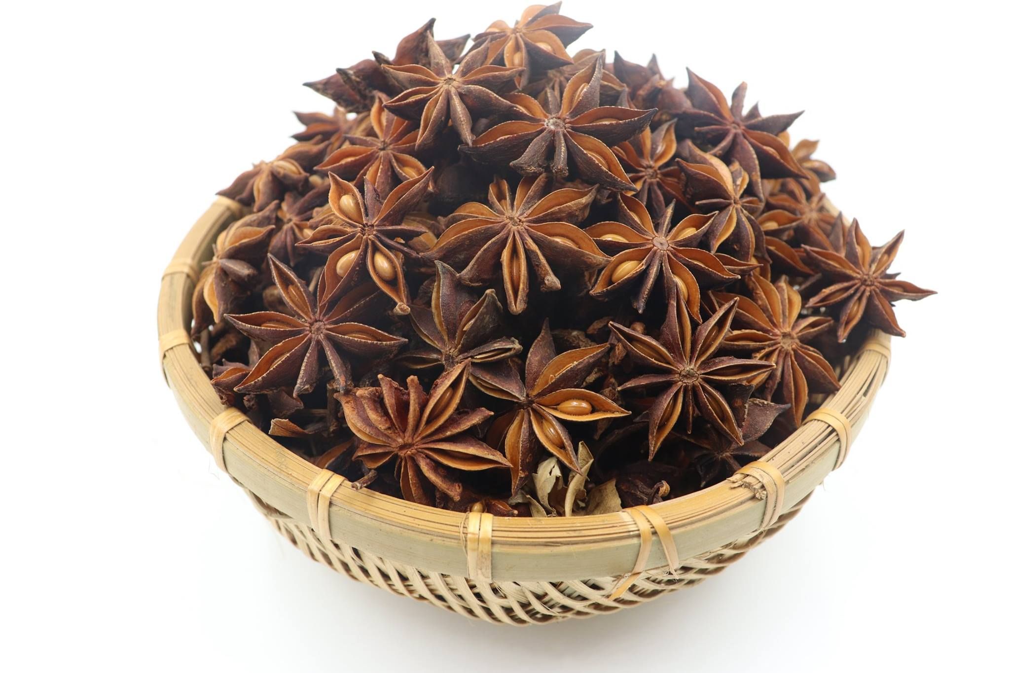 hoa hồi 22.10.jpg